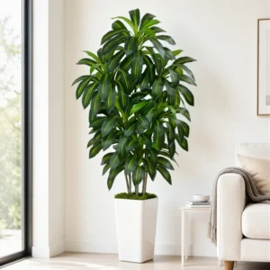 6FT Artificial Dracaena Tree Low-Maintenance Tall Floor Plant for Home Landscaping